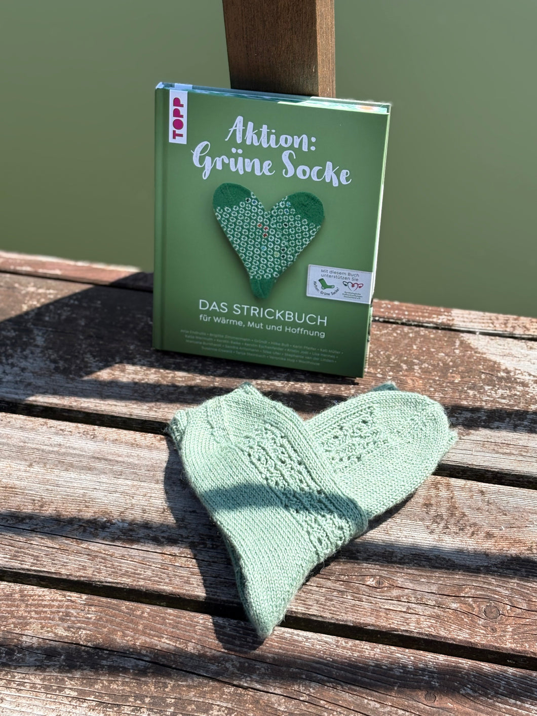 Buch zur Aktion grüne Socke