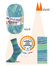 Laden Sie das Bild in den Galerie-Viewer, Woolly Hugs Weltrekord Sockenwolle 4-fach