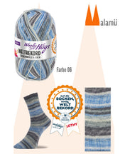 Laden Sie das Bild in den Galerie-Viewer, Woolly Hugs Weltrekord Sockenwolle 4-fach